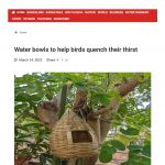 WaterBowl for Birds Campaign_Mar14 2022